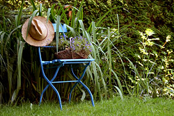 Ein Stuhl in unserem Garten