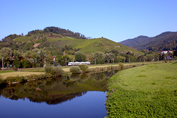 Zug in der Natur